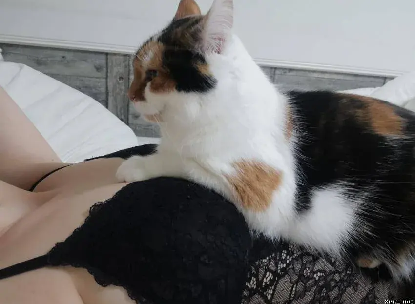AlyshaSweet45